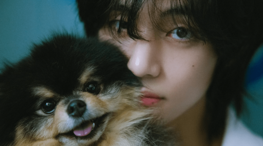 BTS member V's dog Yeontan aka Tannie passes away