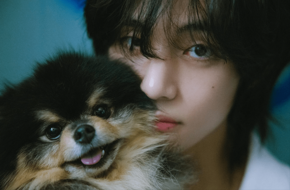 BTS member V's dog Yeontan aka Tannie passes away